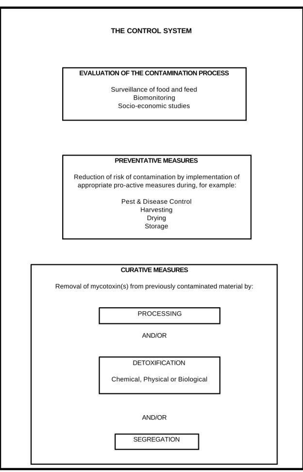 Figure 6 - The Control System