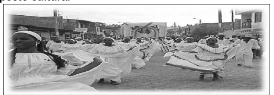 Figura 5. Aspecto cultural  