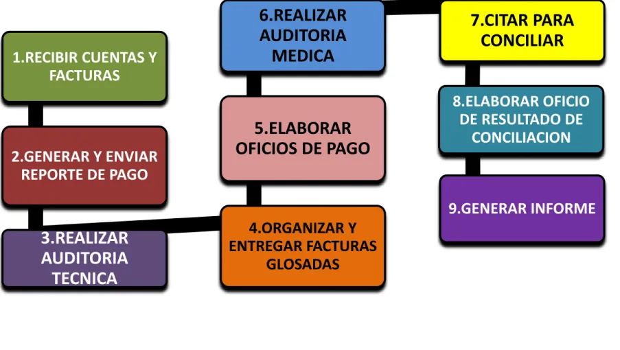 Figura 12. Esquema de  proceso de auditoria médica    