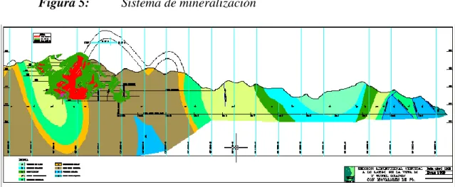 Figura 5:         Sistema de mineralización 
