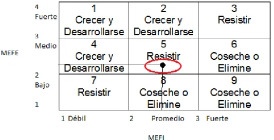 Tabla 8. Matriz Interna Externa TEXCOL &amp; CIA LTDA. 