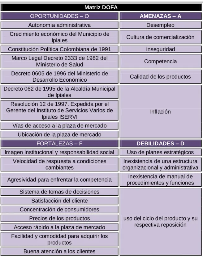 Cuadro 5: Matriz DOFA 