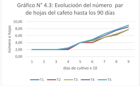 Gráfico N° 4.3: Evolucioón del número  par  de hojas del cafeto hasta los 90 días
