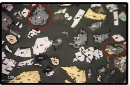Figura 8: Microscopía a malla + 400 (37 µ) de las espumas Rougher bulk 