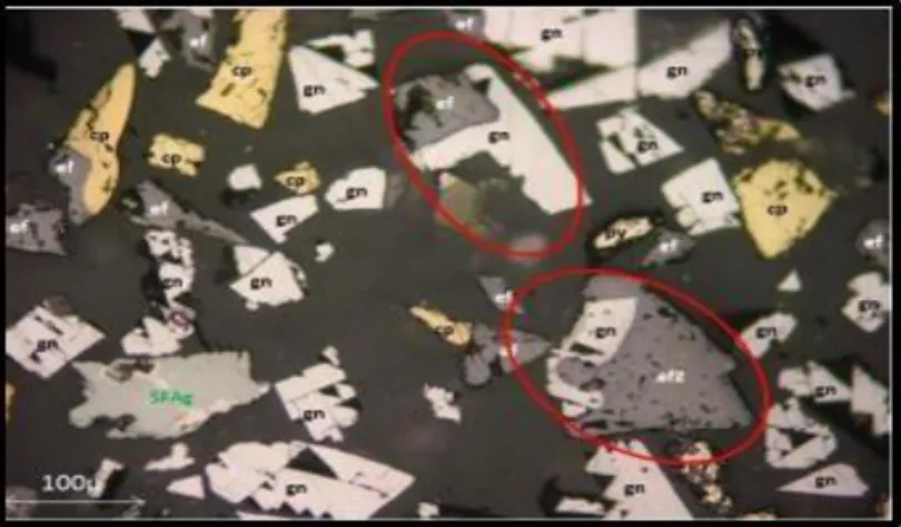 Figura 7: Microscopía a malla + 400 (37 µ) de las espumas Rougher bulk 