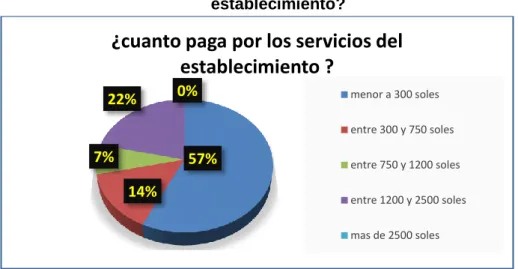 Gráfico N° 13 ¿ Cuánto paga por los servicios del  establecimiento? 