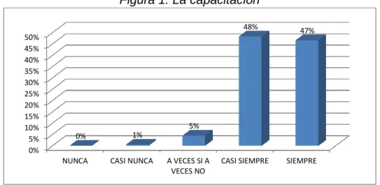 Figura 1: La capacitación 