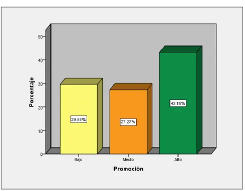 Tabla 8. Dimensión Promoción. 