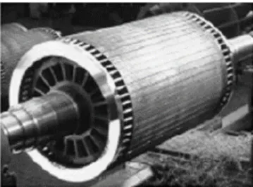 Figura 1.3: Rotor jaula de ardilla