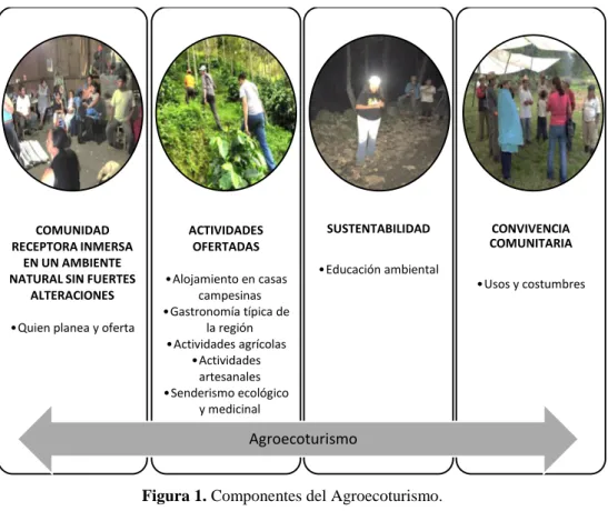 Figura 1. Componentes del Agroecoturismo. 