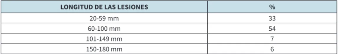 Cuadro 6: Longitud de las lesiones. Lapso 2018-2021.