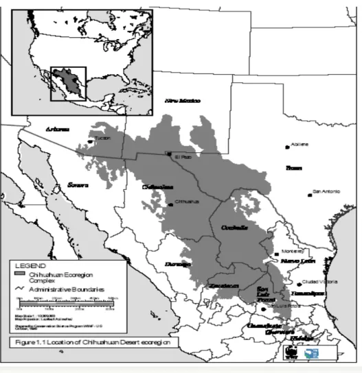 Mapa II.3. Ecoregión Desierto Chihuahuense. Fuente: Dinerstein, Olson, et al., 2000.