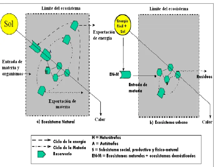 Figura II.1 