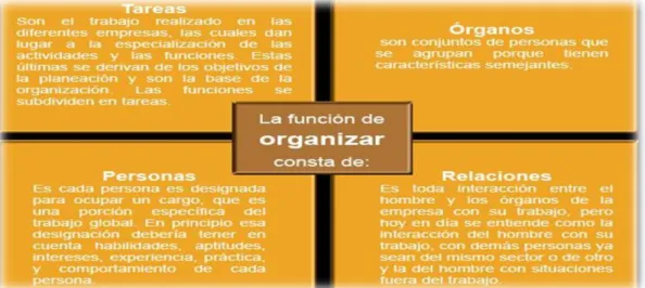 Figura 2: Las funciones de organizar 