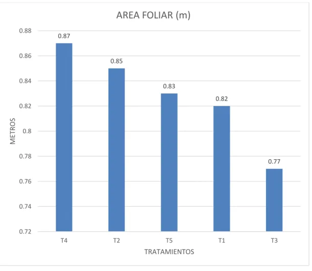 Fig 4 Área foliar 