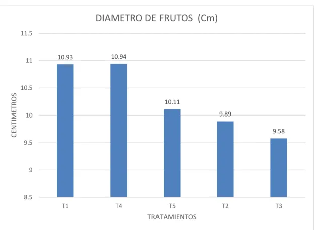 Fig 5 Diámetro de frutos 