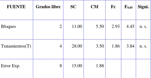 Tabla 09. Variancia de tamaño del fruto. 