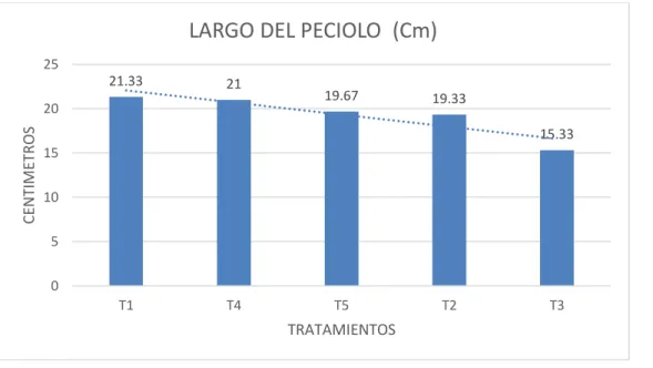 Fig 7 Longitud del peciolo 