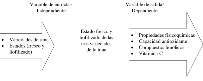 Figura 7: Diseño experimental 
