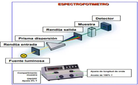 Figura 11: Componentes espectrofotómetro. 
