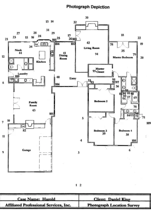 Fig. 2.3. Photograph depiction.