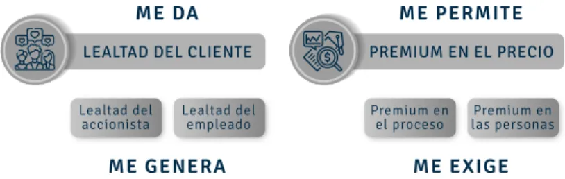 Ilustración N° 2. Dimensiones de la marca