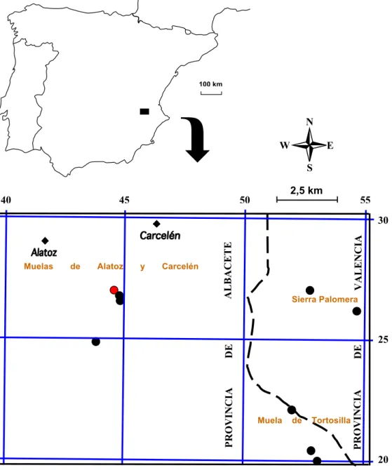 Figura 4. Mapa de localización de T. miragestorum.