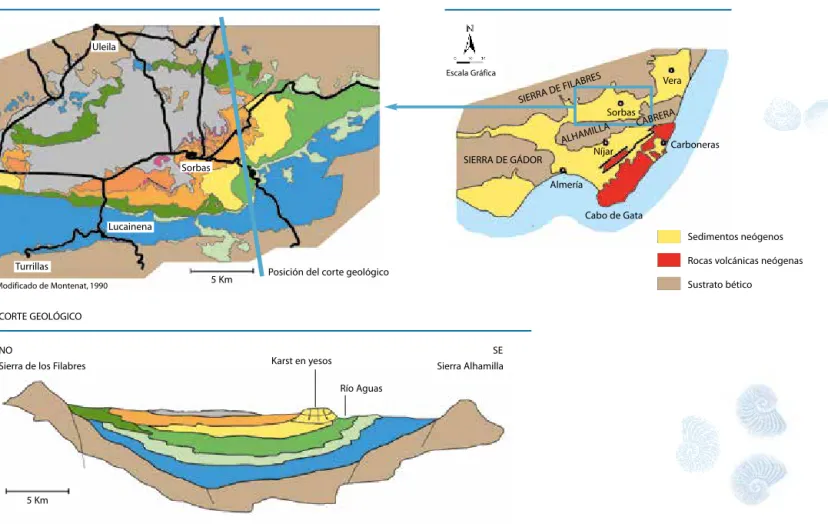 MAPA GEOLÓGICO DE LA CUENCA DE SORBAS CONTEXTO GEOLÓGICO DE LA CUENCA DE SORBAS