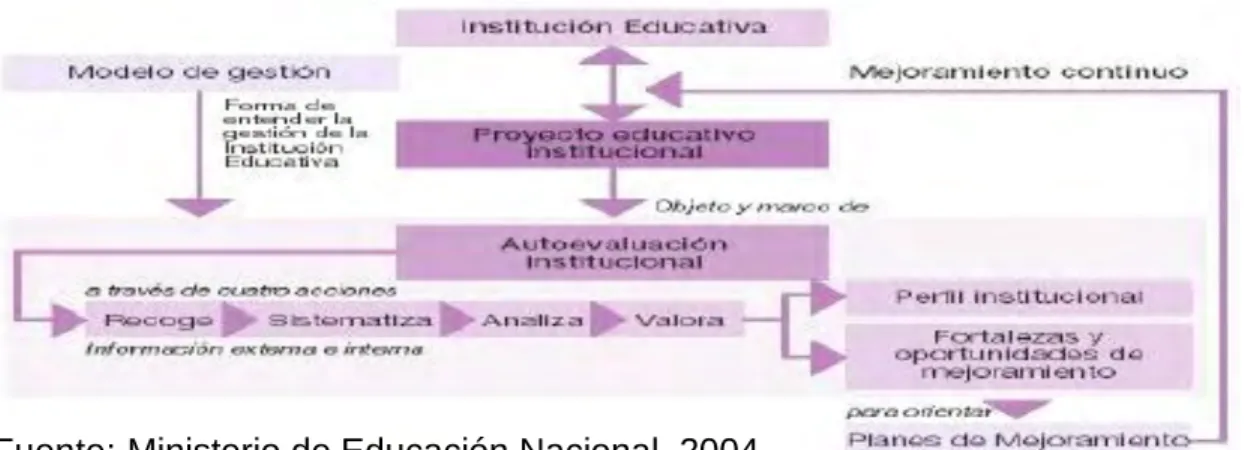 Figura 2. Mapa del proceso de autoevaluación institucional. 