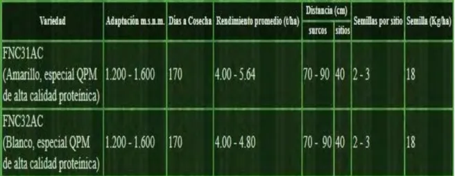 Cuadro 9. Variedades de semilla de maíz marca FNC 
