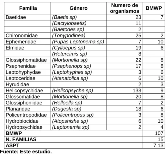 Cuadro 8.  Macro invertebrados antes de la canalización