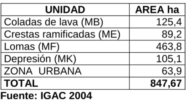 Cuadro 12. Unidades Geomorfológicas.