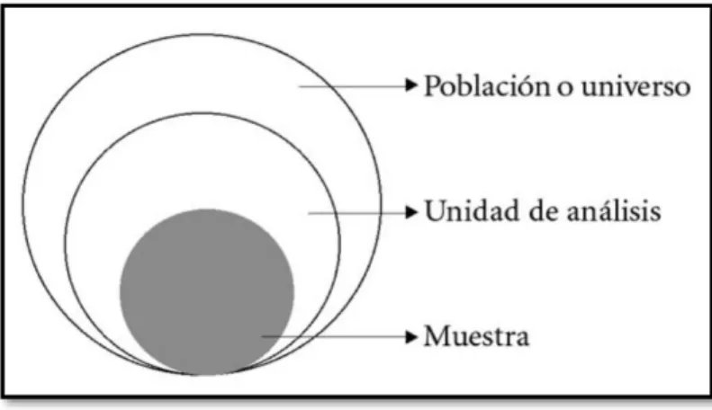 Figura 2 Representación de una muestra 