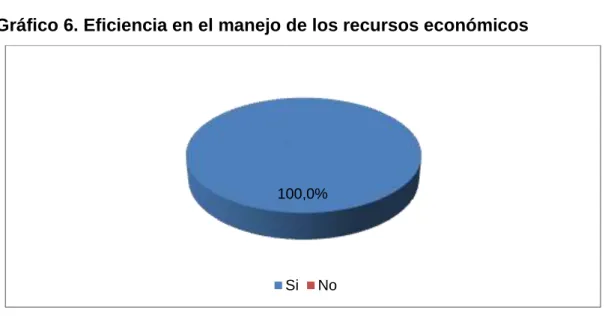 Cuadro  7.  Criterio  sobre  la  eficiencia  en  el  manejo  de  los  recursos  económicos 