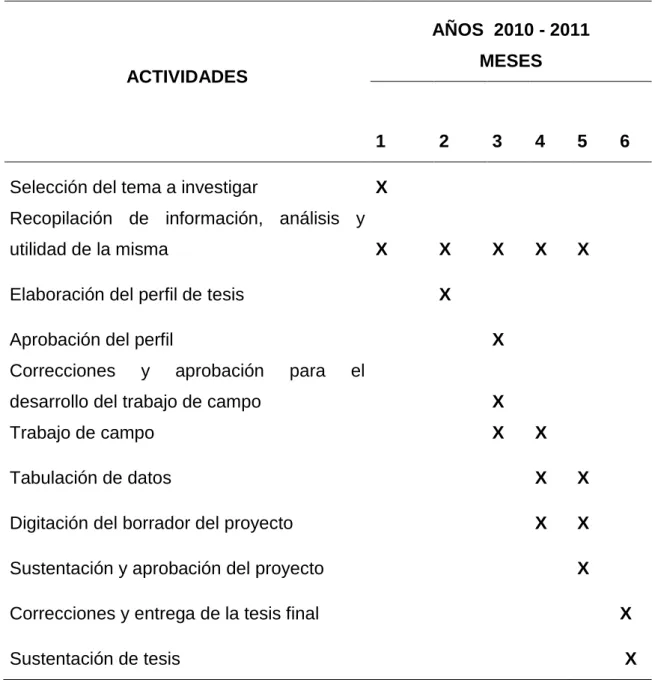 Cuadro 2. Cronograma de las Actividades 