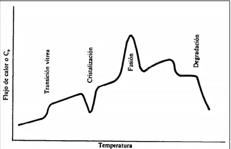 Figura  7. Simplificación de las transiciones de un polímero. 