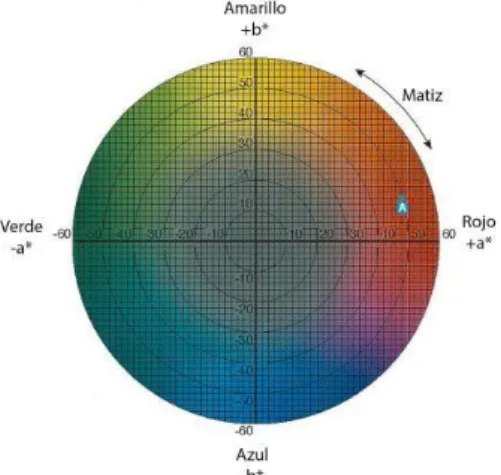Figura 3. Representación en el plano horizontal del espacio de color L* a* b*. 