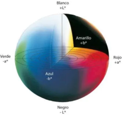 Figura 4. Representación tridimensional del espacio de color L*a*b*. 