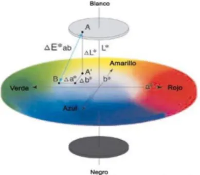 Figura 5. Diferencia del color en el espacio L* a b*. 