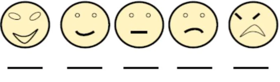 Figura 7. Escala hedónica facial. 