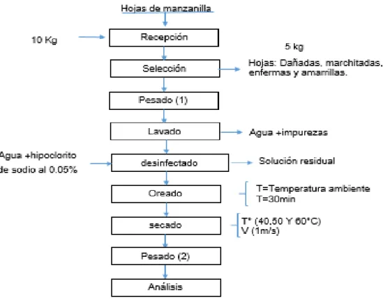 Figura 8. Diagrama de bloque para el secado de las hojas de la manzanilla 