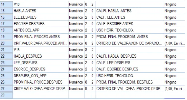 Figura 06. Carga de datos al software SPPS statistics. 