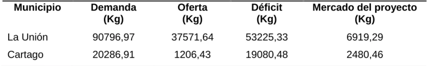 Tabla 14. Determinación del segmento del mercado.