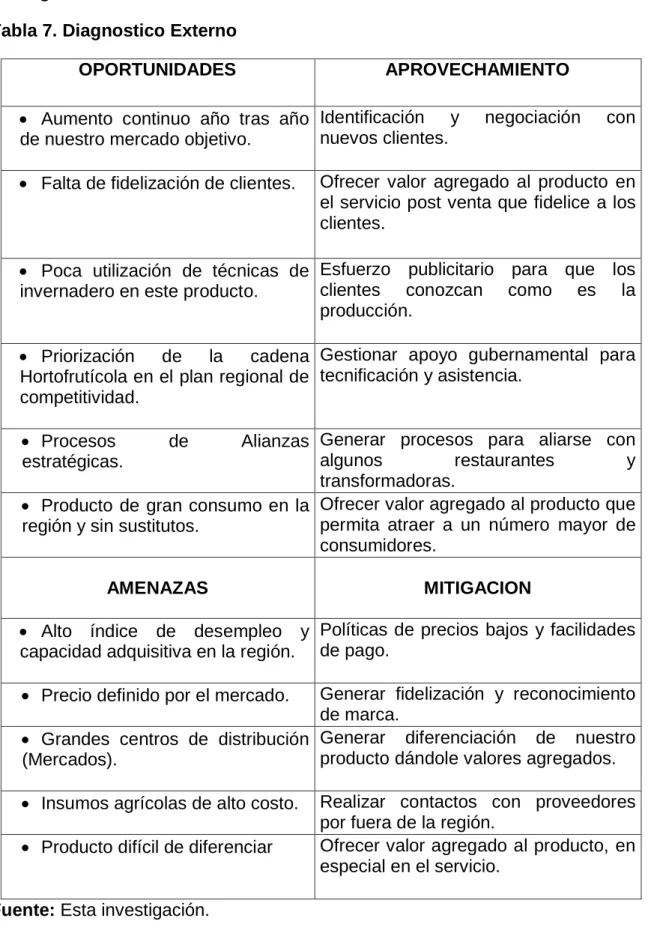 Tabla 7. Diagnostico Externo 