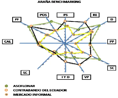 Figura 3. Araña Benchmarking 