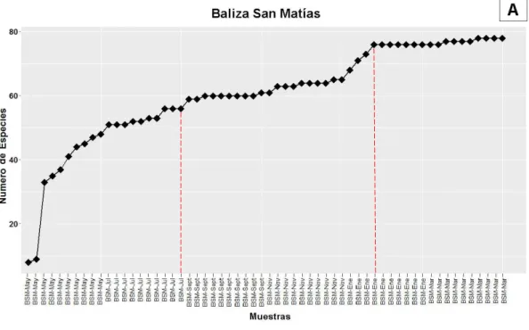 Figura 5. Curva de acumulación de especies para A: Baliza San Matías y B: Punta Verde
