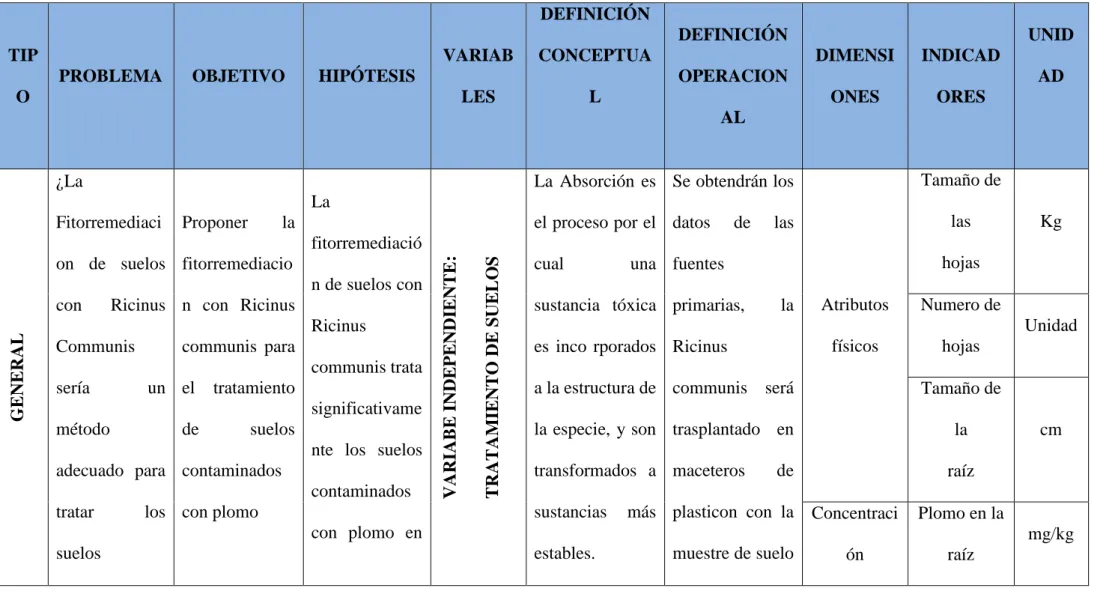 Cuadro N° 04: Operacionalización de Variables 