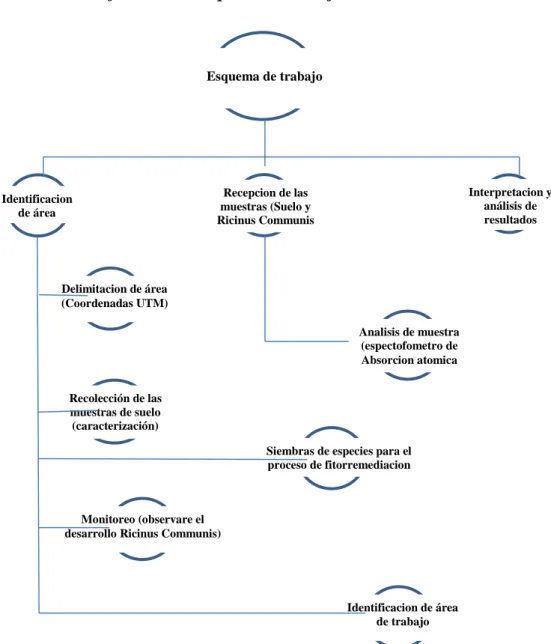 Gráfico N° 01: Esquema de trabajo 