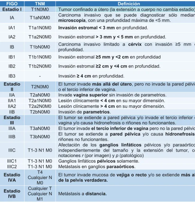FIGO  TNM  Definición 