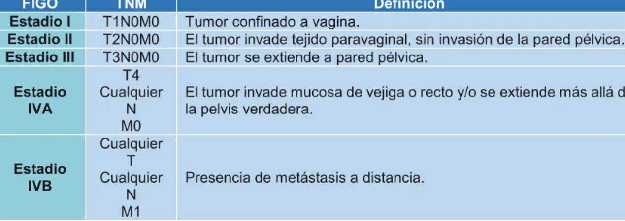 FIGO TNM Definición